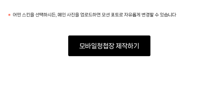 스킨 안내